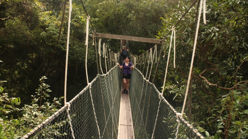 10 Kegiatan Menarik Dilakukan di Taman Negara Malaysia