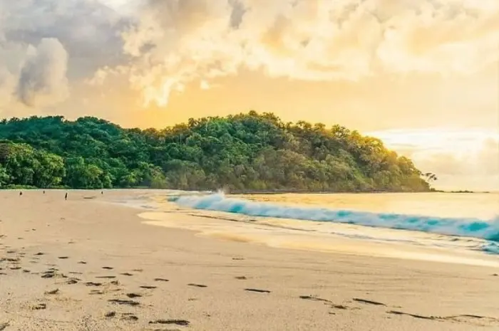 Pantai Sendiki, Pesona Pantai Indah Nan Eksotis di Malang