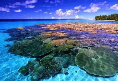 Taman Nasional Bunaken, Surga Bawah Laut yang Menakjubkan di Manado