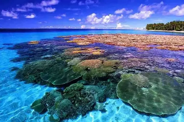 Taman Nasional Bunaken, Surga Bawah Laut yang Menakjubkan di Manado